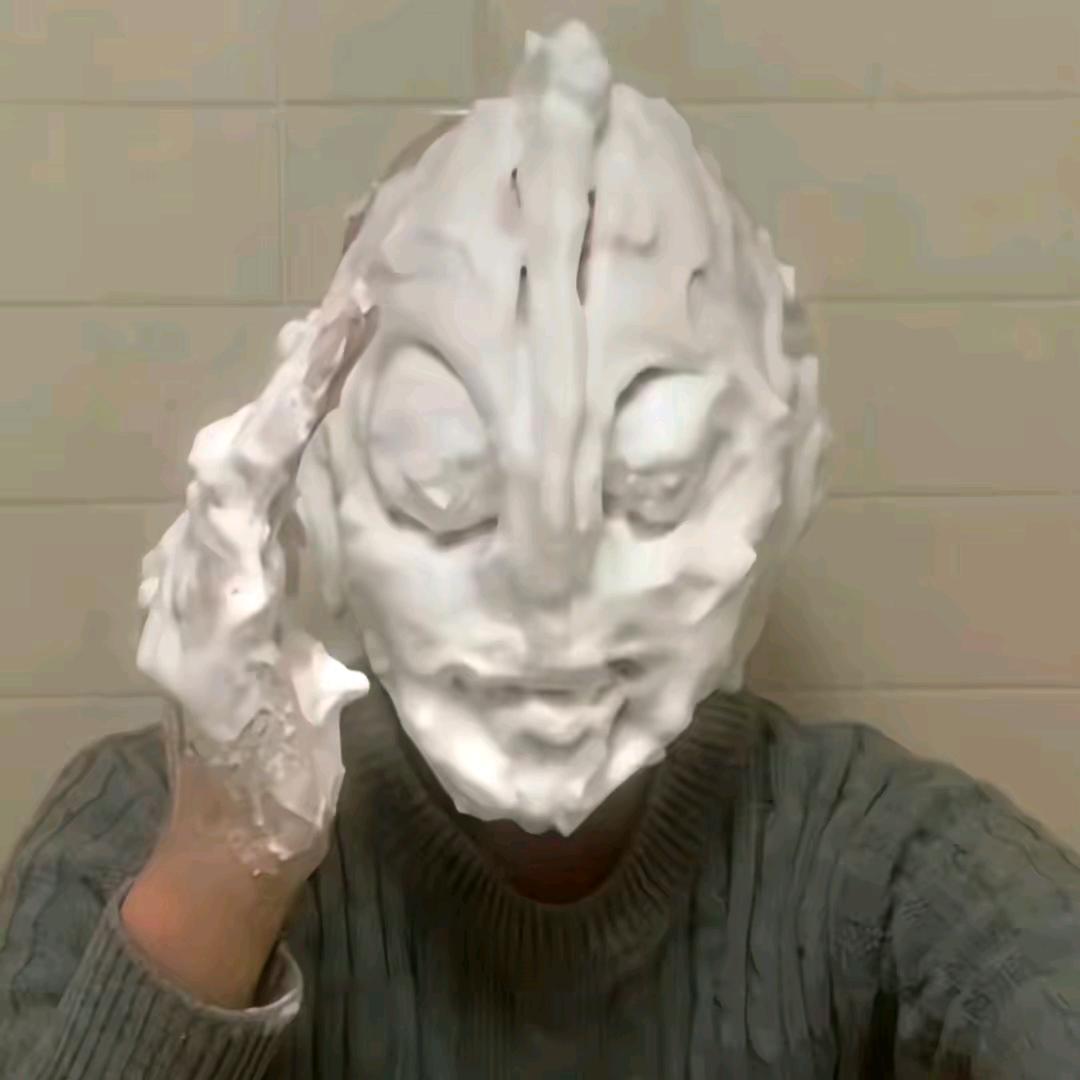 洋葱先生