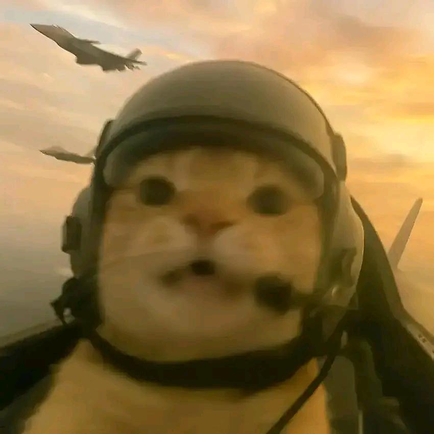 川莱卅🐥🦖🦐