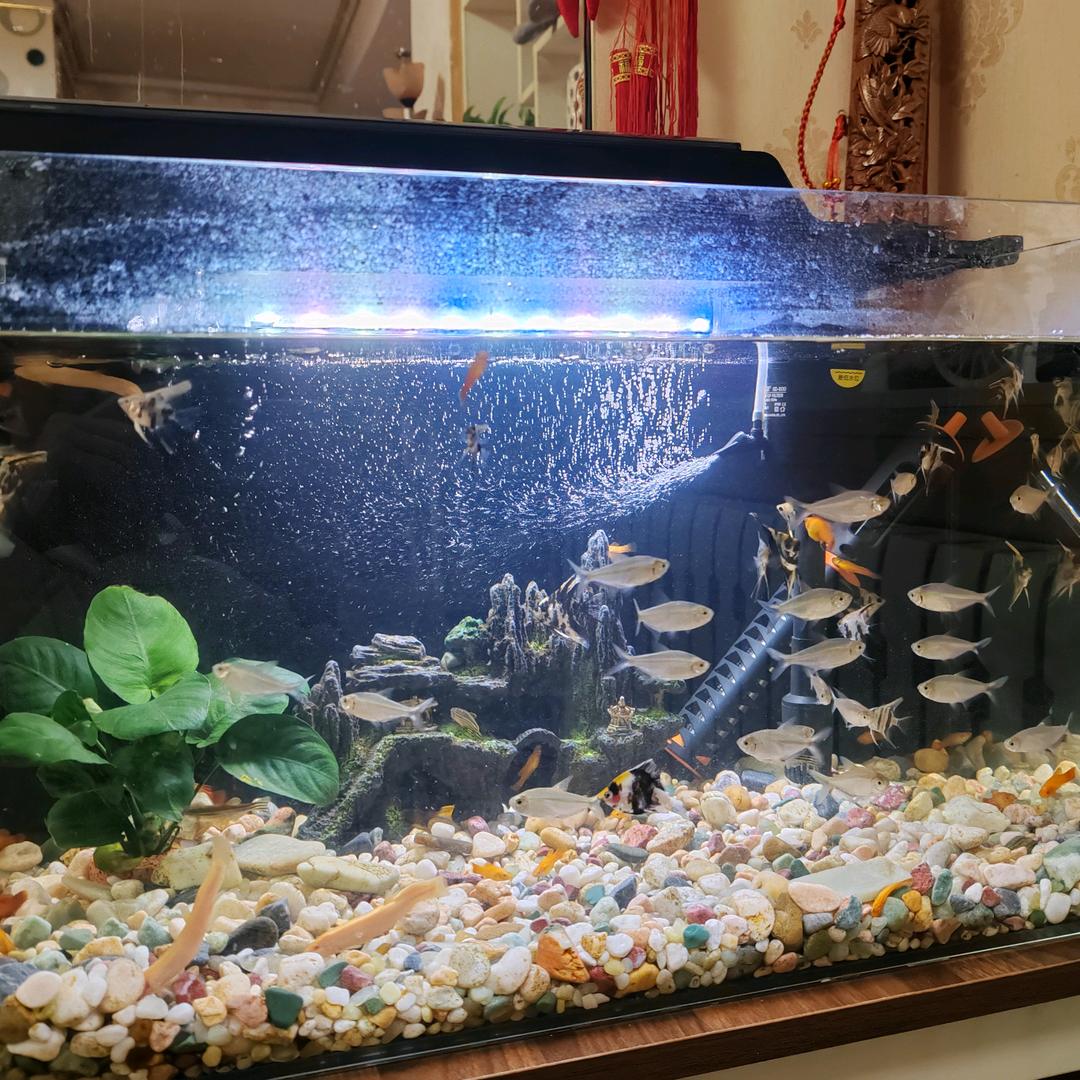 东边日出西边雨