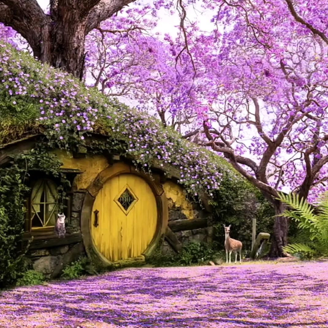 温柔只给意中人