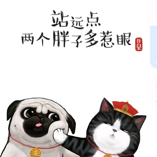 杨姐