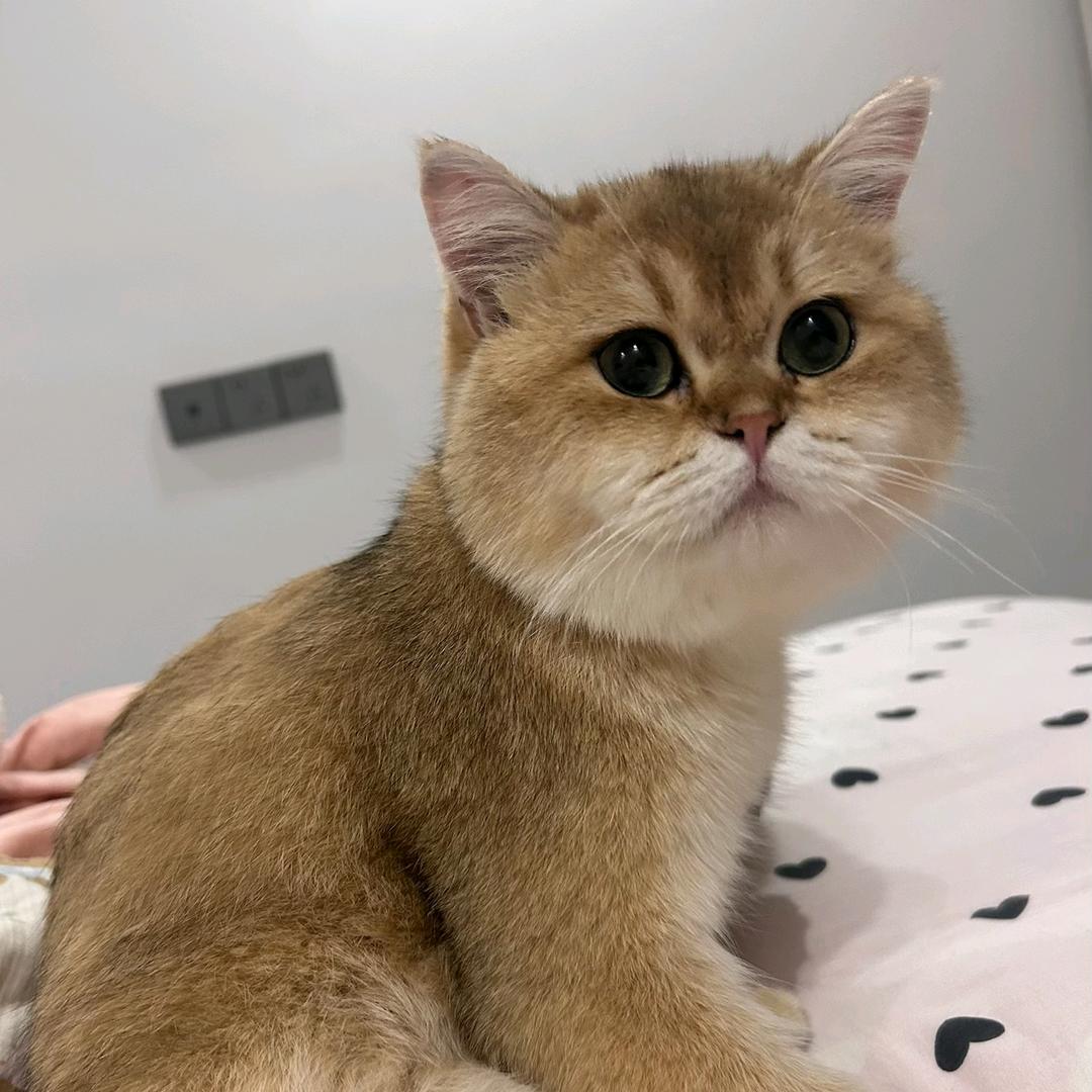 🌈ཉི༗࿆苏༗࿆ཉི🌈