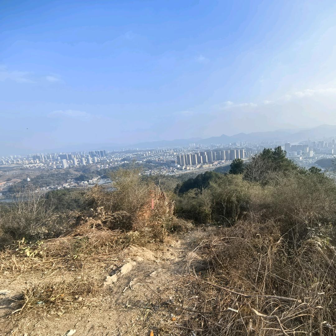 骑小熊