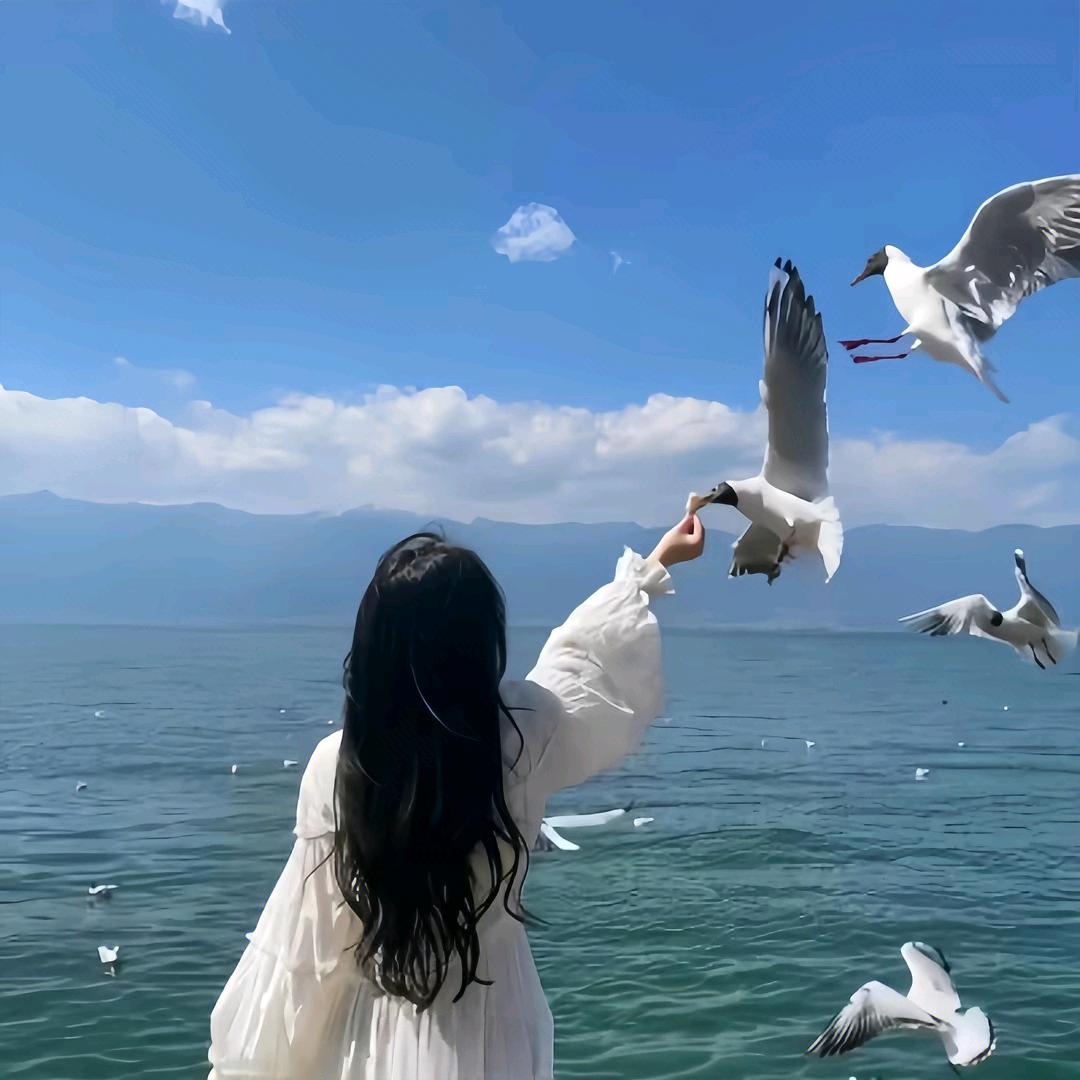 ღ青柠不酸 iℳ♡