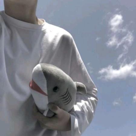 kite