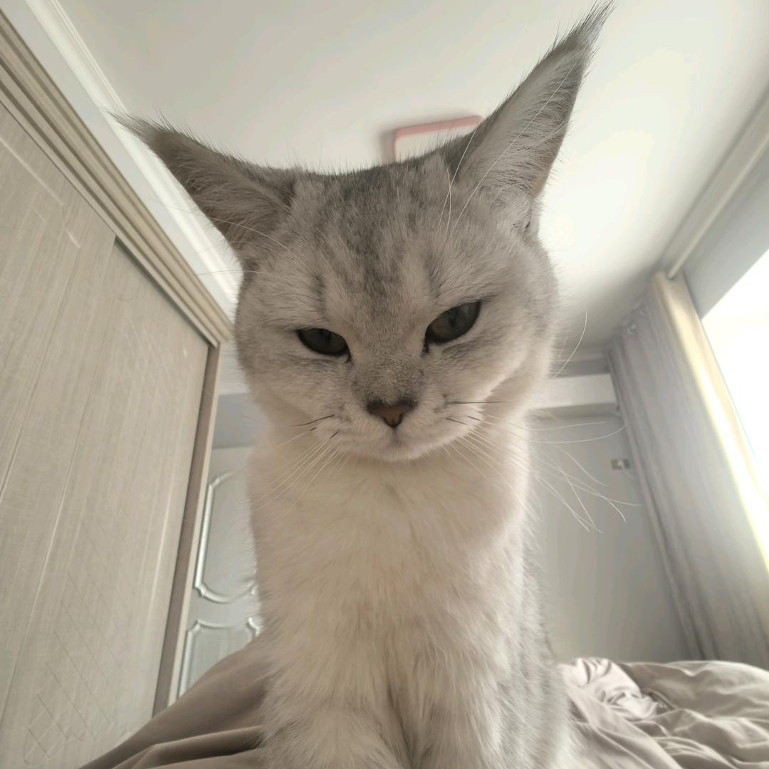 差不多得了