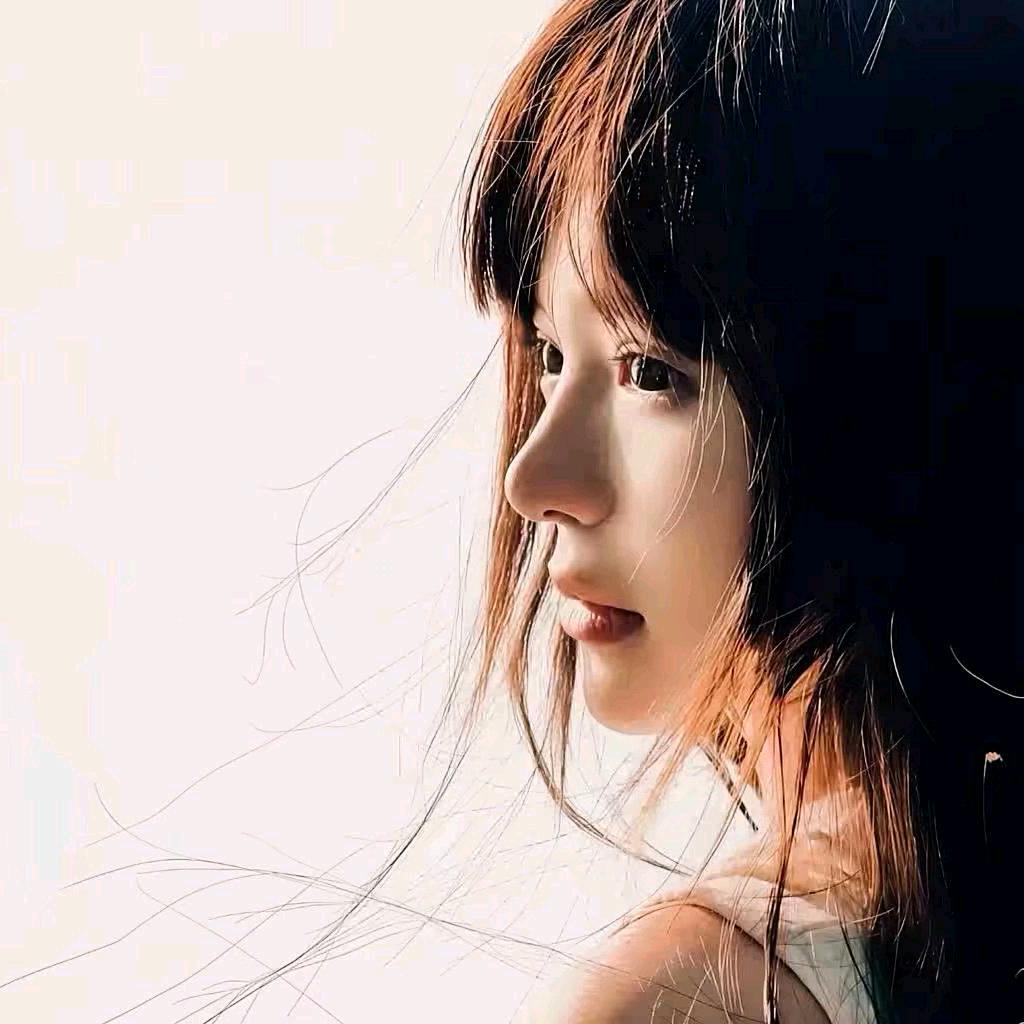 鑫   6