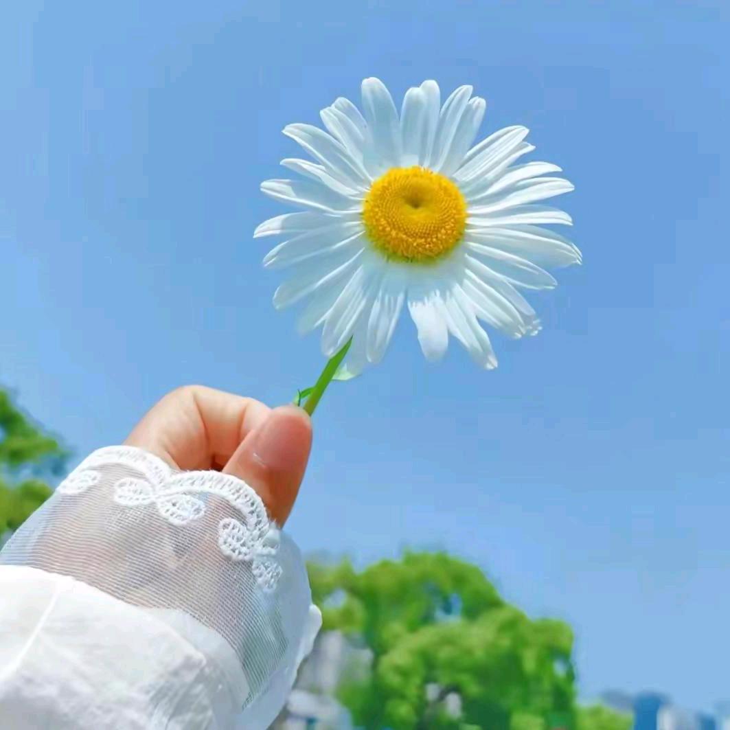 ℳ̶̶̶̶♡̶҉星眠若梦⭐꧔ꦿ℘