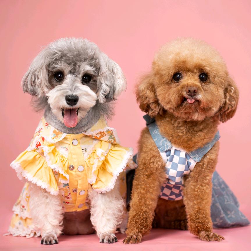 柚子点点+🍓丫