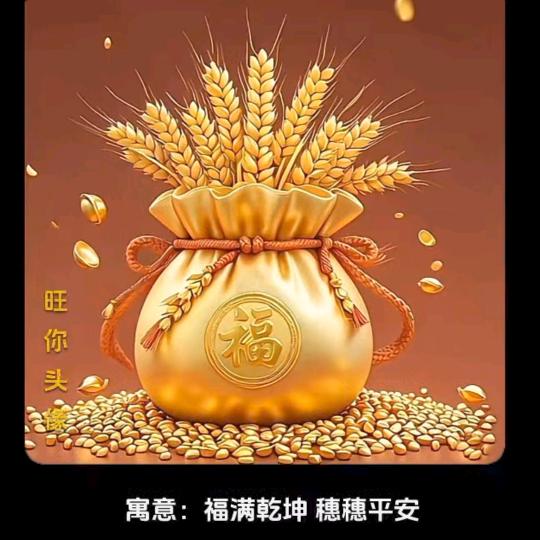 金彩纷呈