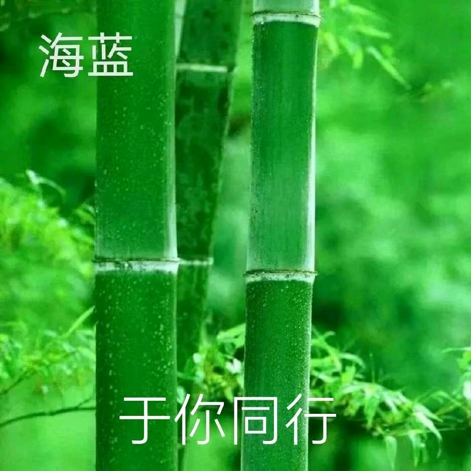 海蓝
