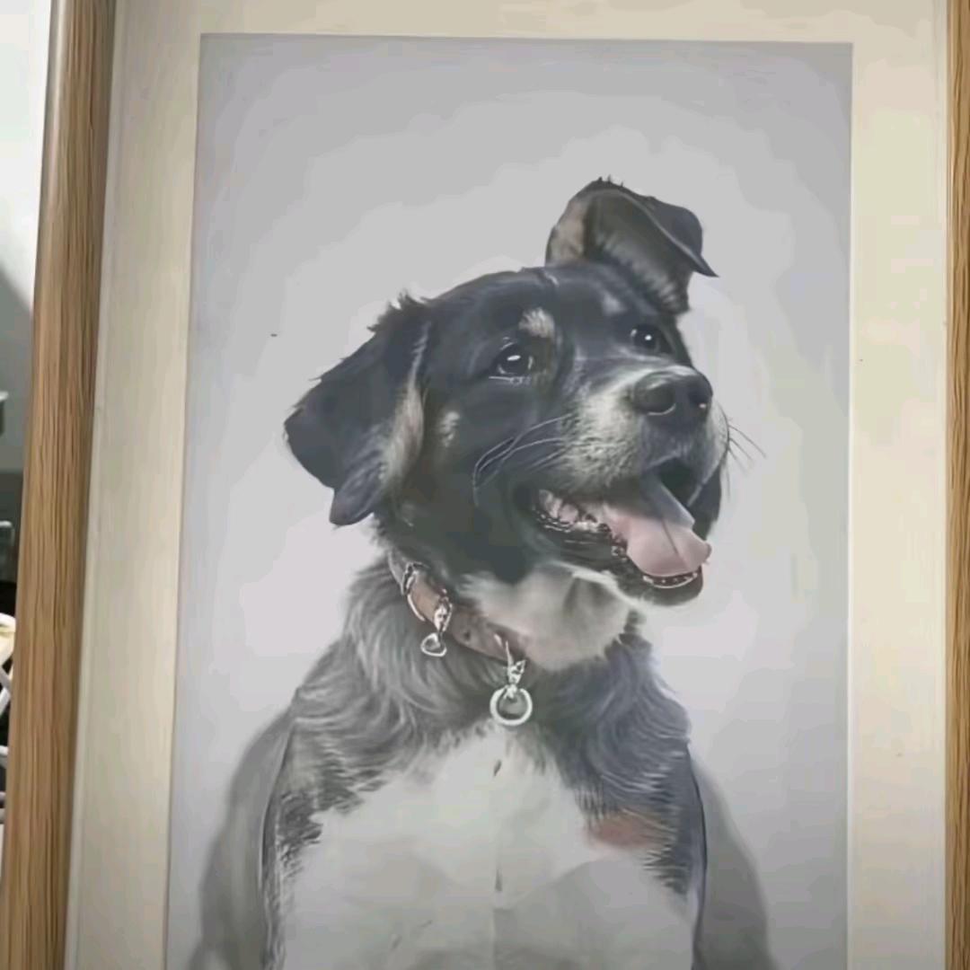 传承清朝软骨病