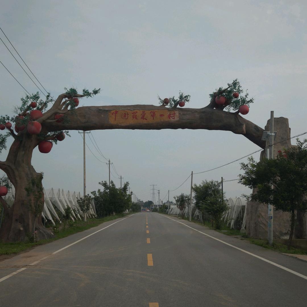 元润合作社（洛川苹果）