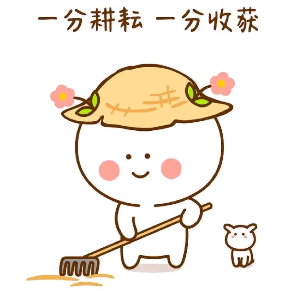 花花世界种球店