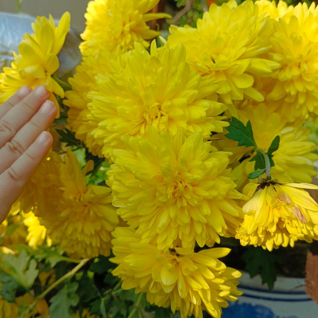 无情不是我的错