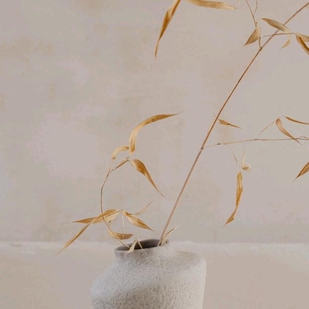 逸成