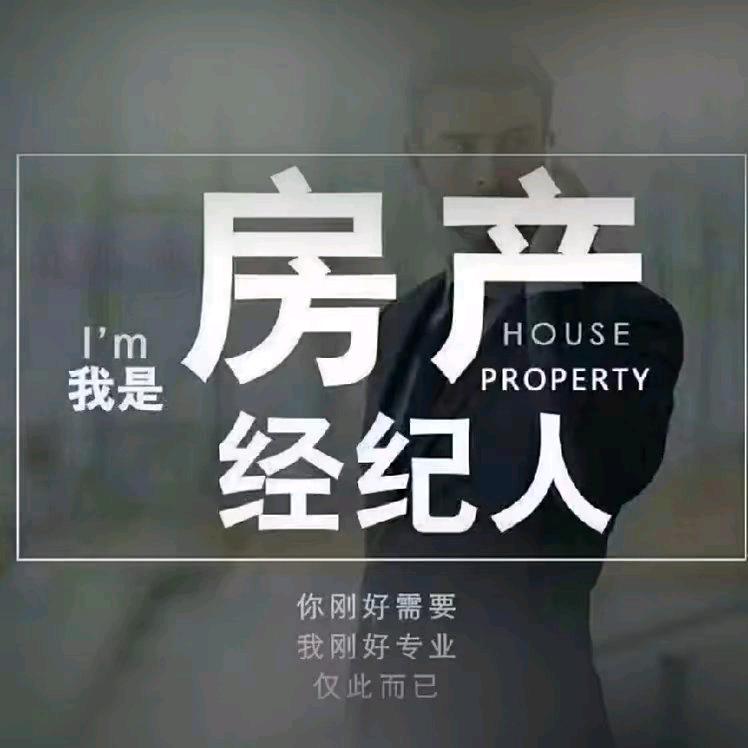 沧州扬哥选好房