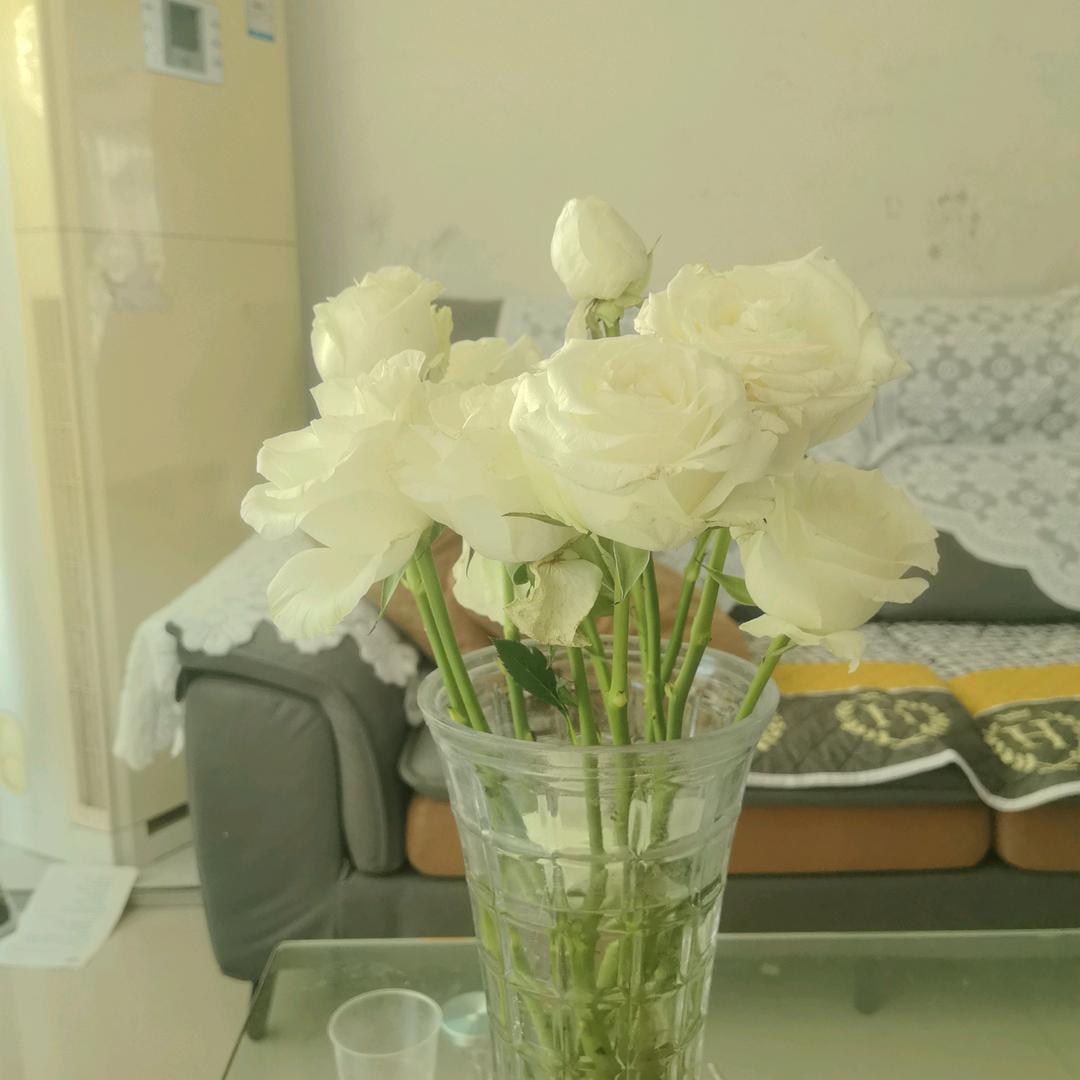 若清麻麻