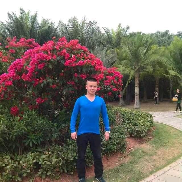 吕行山海.珍能量