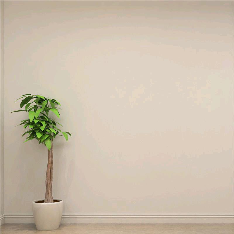 奇声音响高端产品工厂店