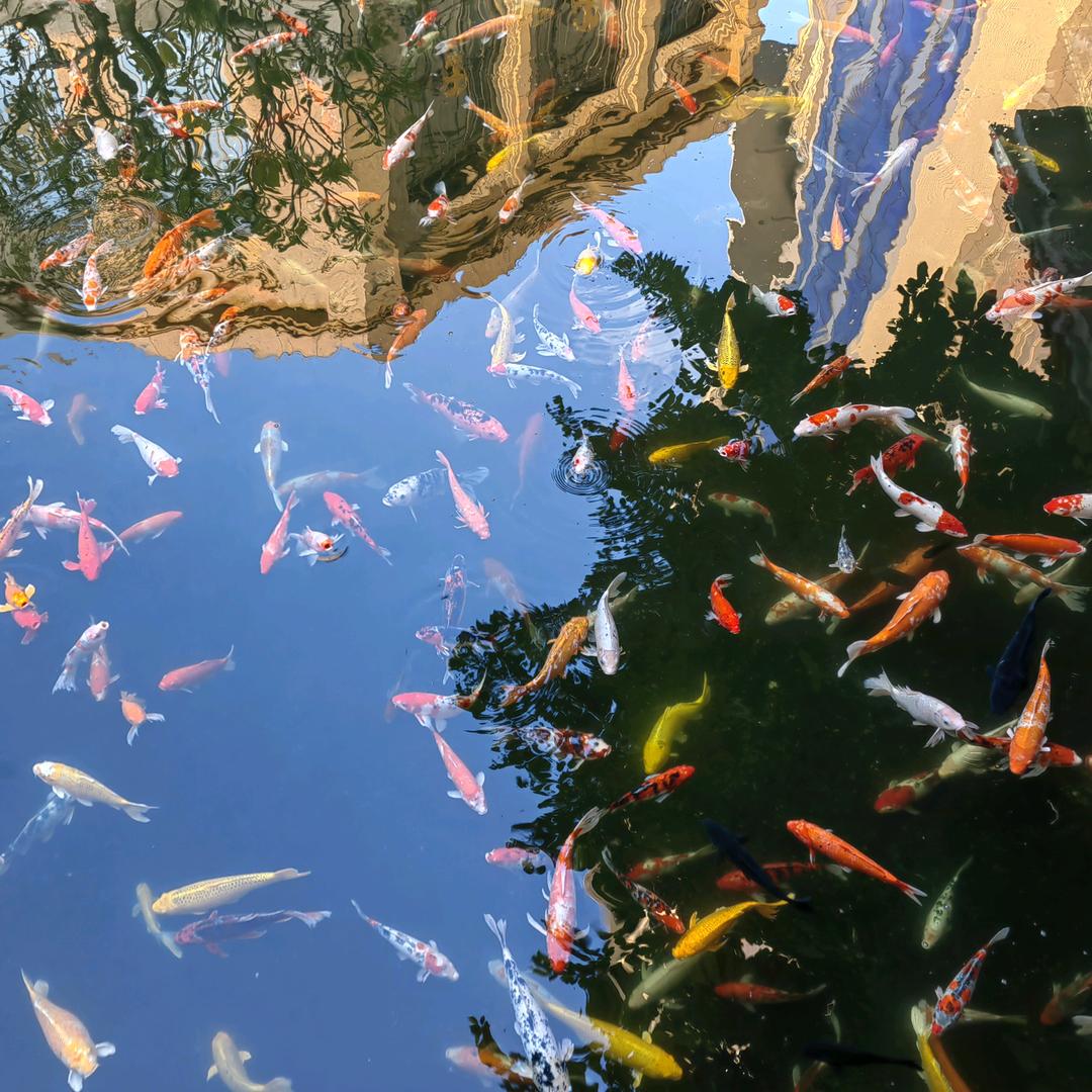菏泽纵横直聘