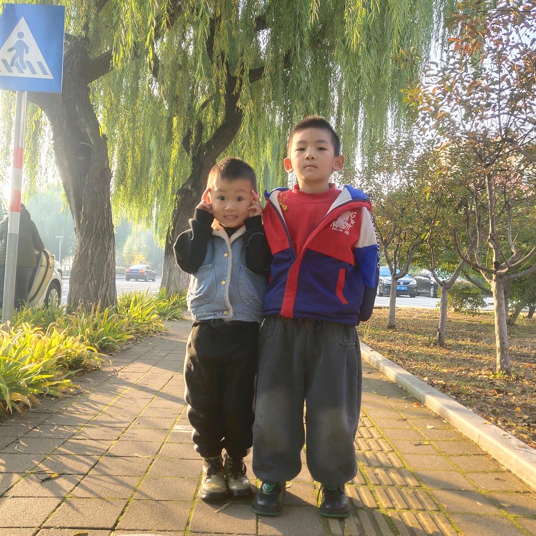 可否许我再少年