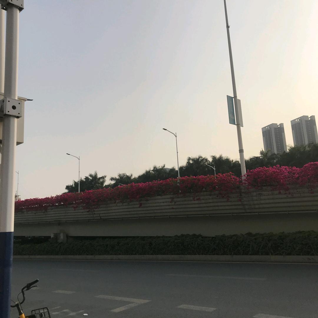 生活真有先苦后甜吗？