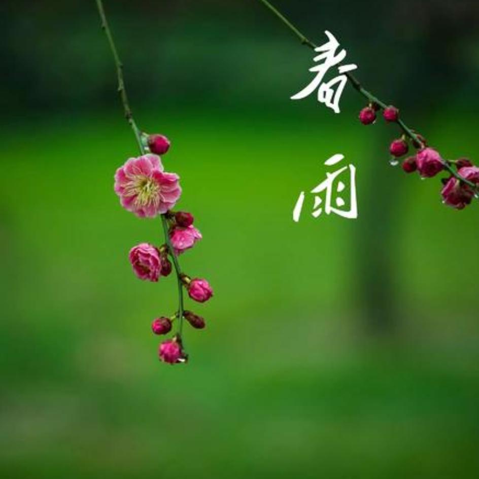 春雨☀️