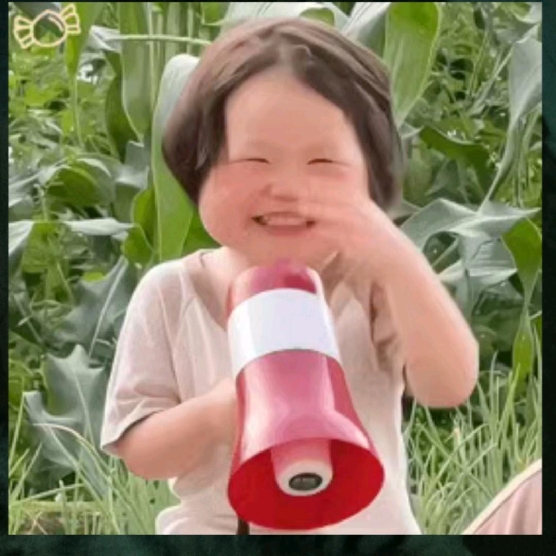 🐱来财！来财！来！