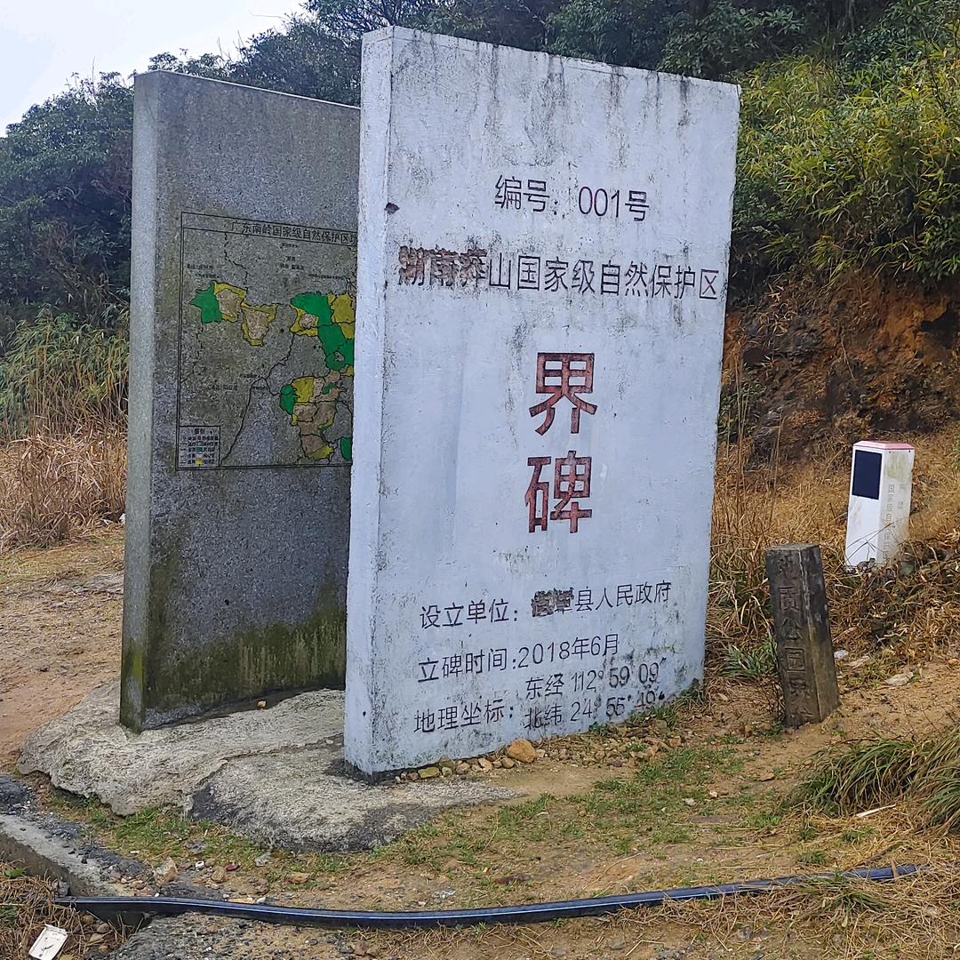 云哥夫妻走乡村