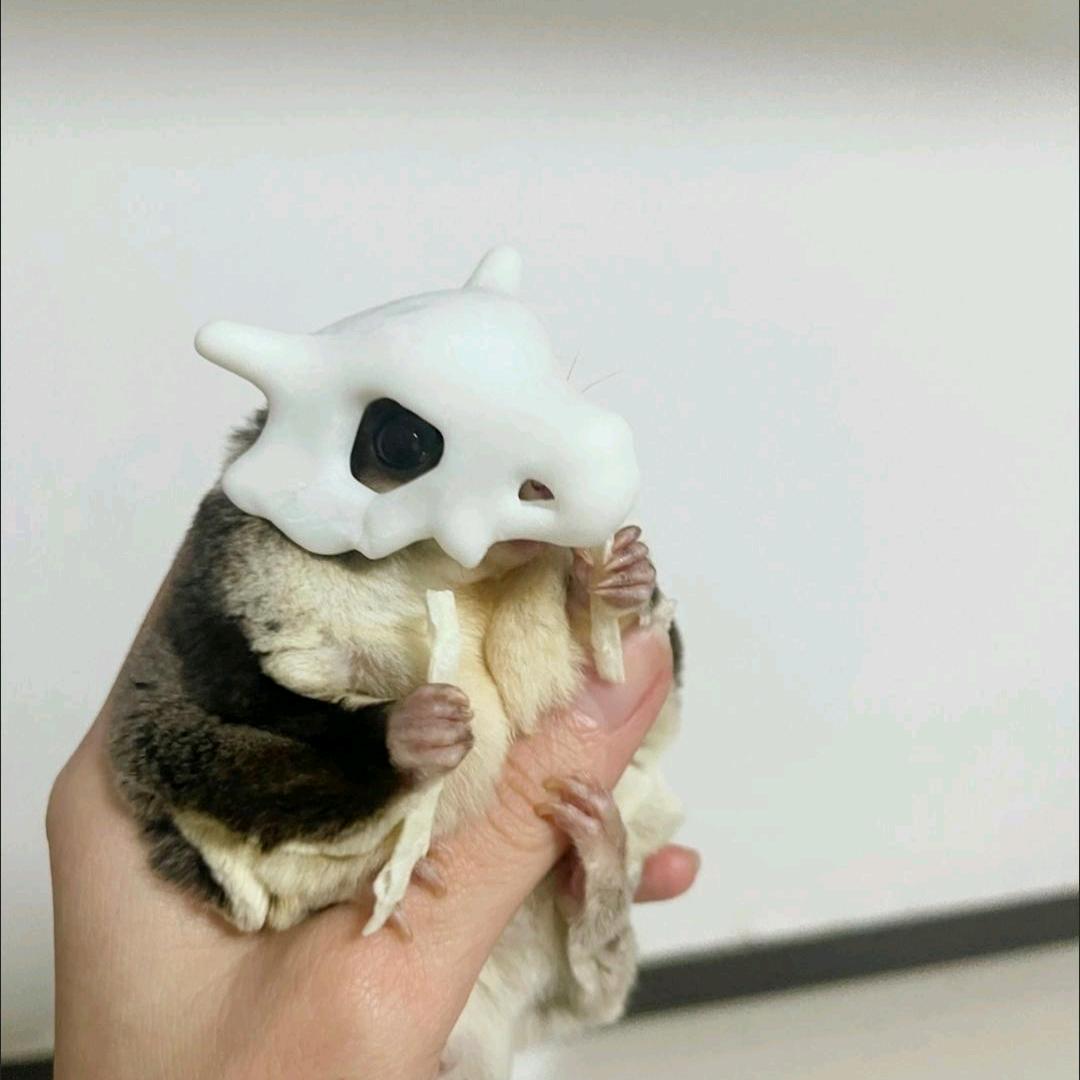 塔科夫下水道大老鼠