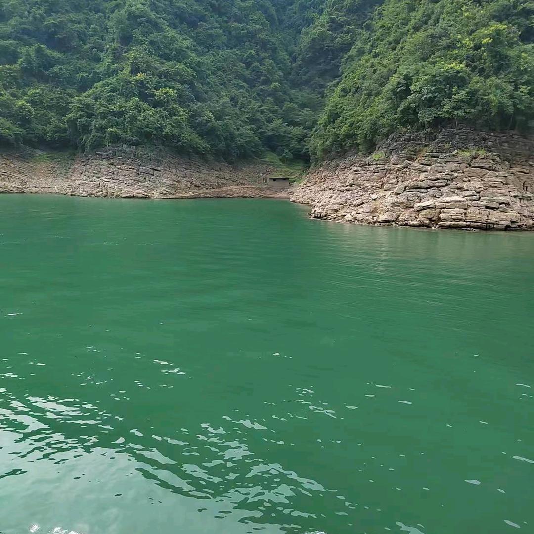 阿飞