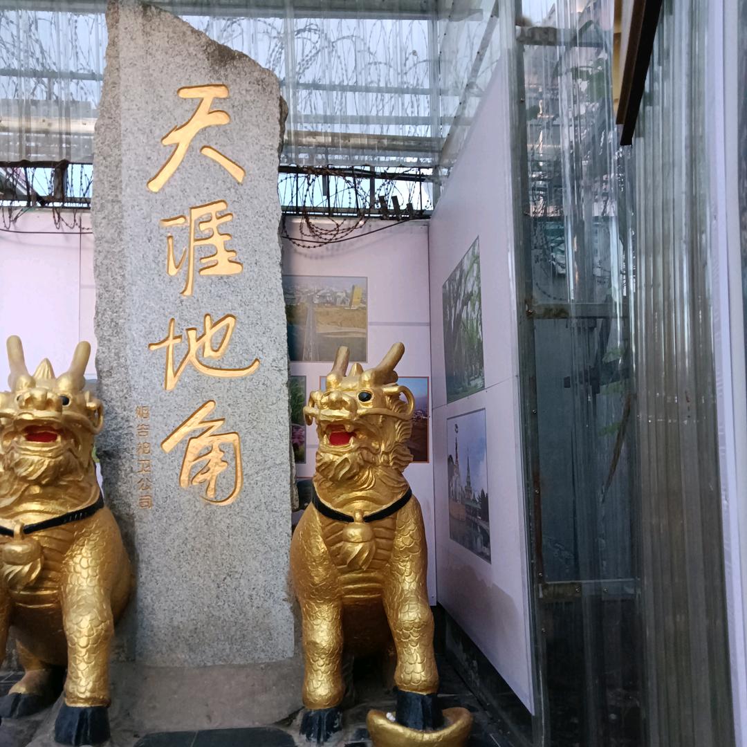 天涯