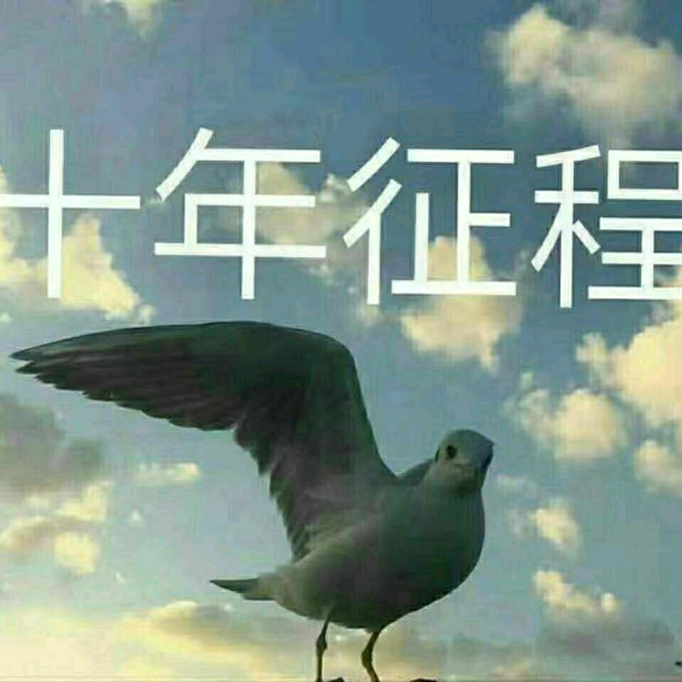 十年征程