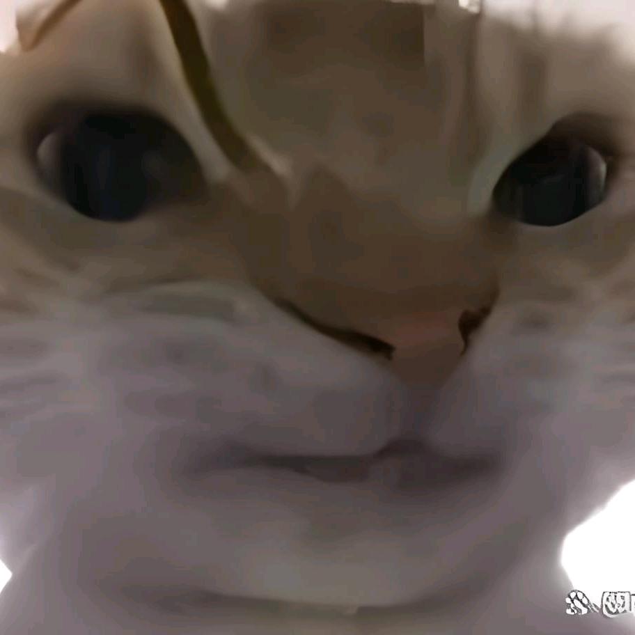 小猫小猫Coke老师