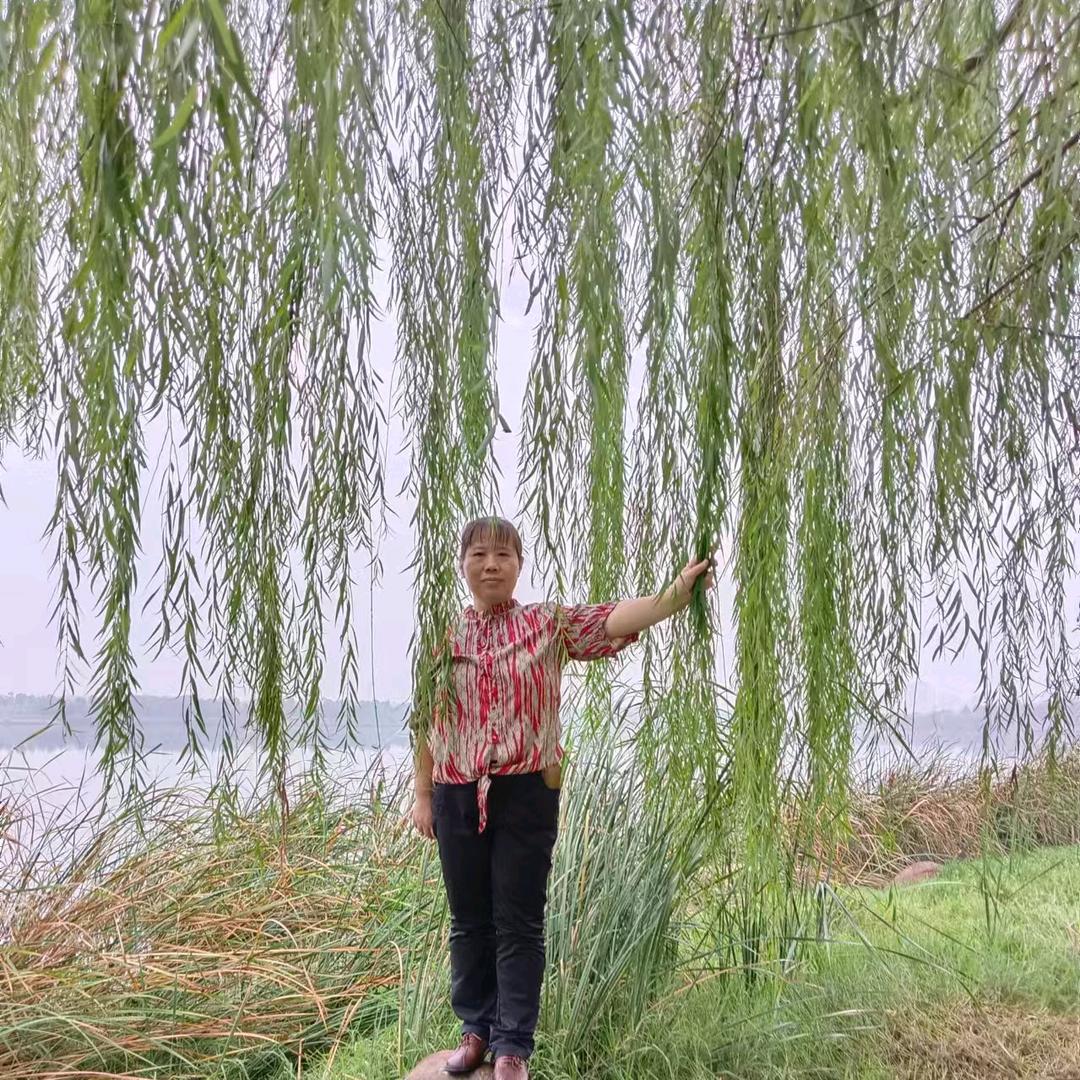 开心情话