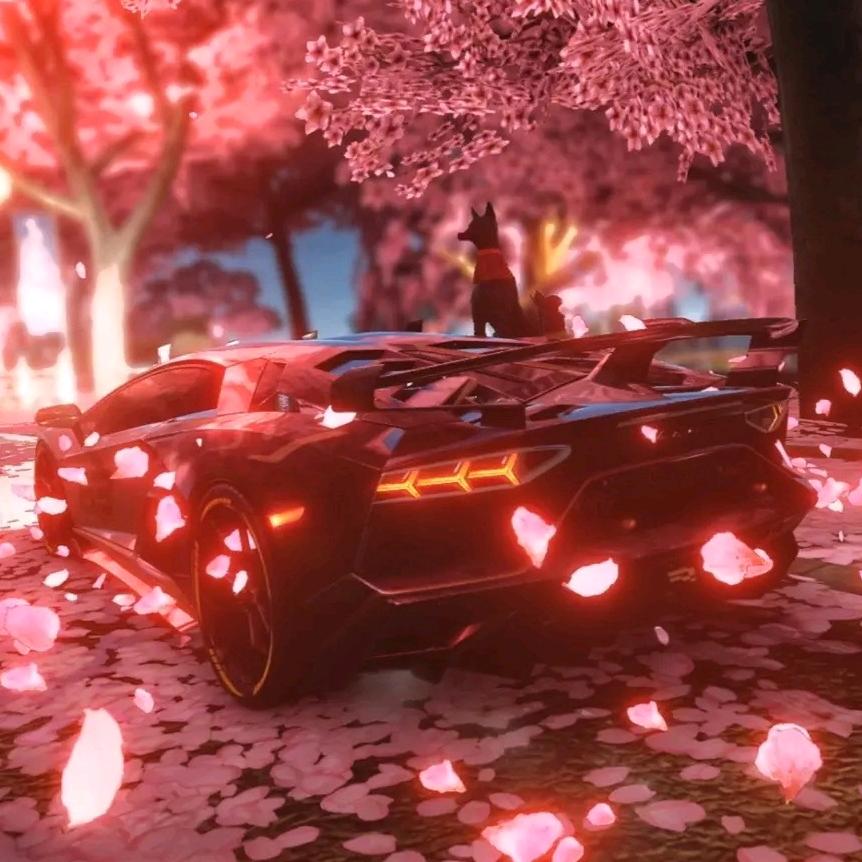 龍纹