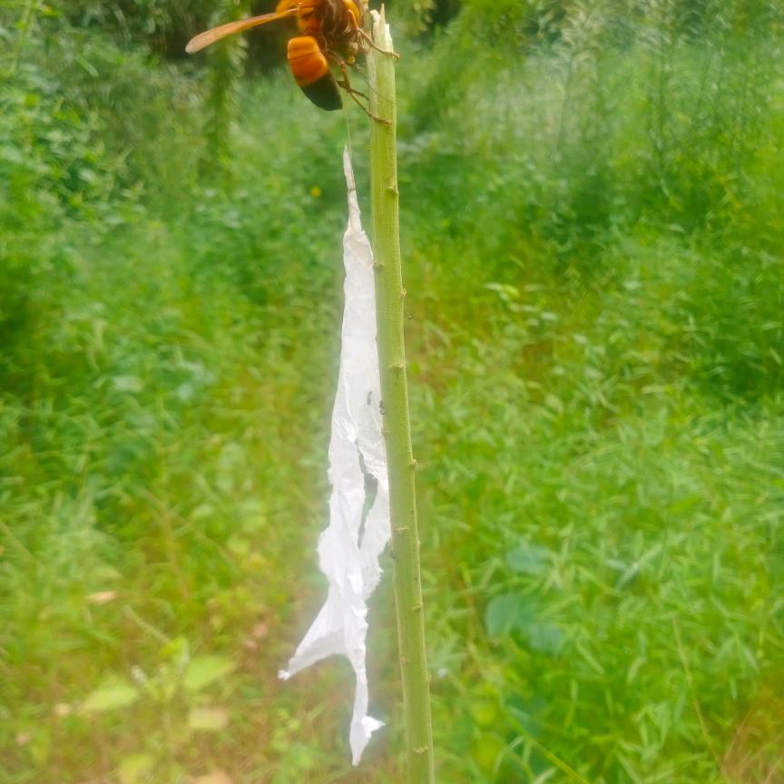 每个人，都是从农村出来的，不要谁看不起谁