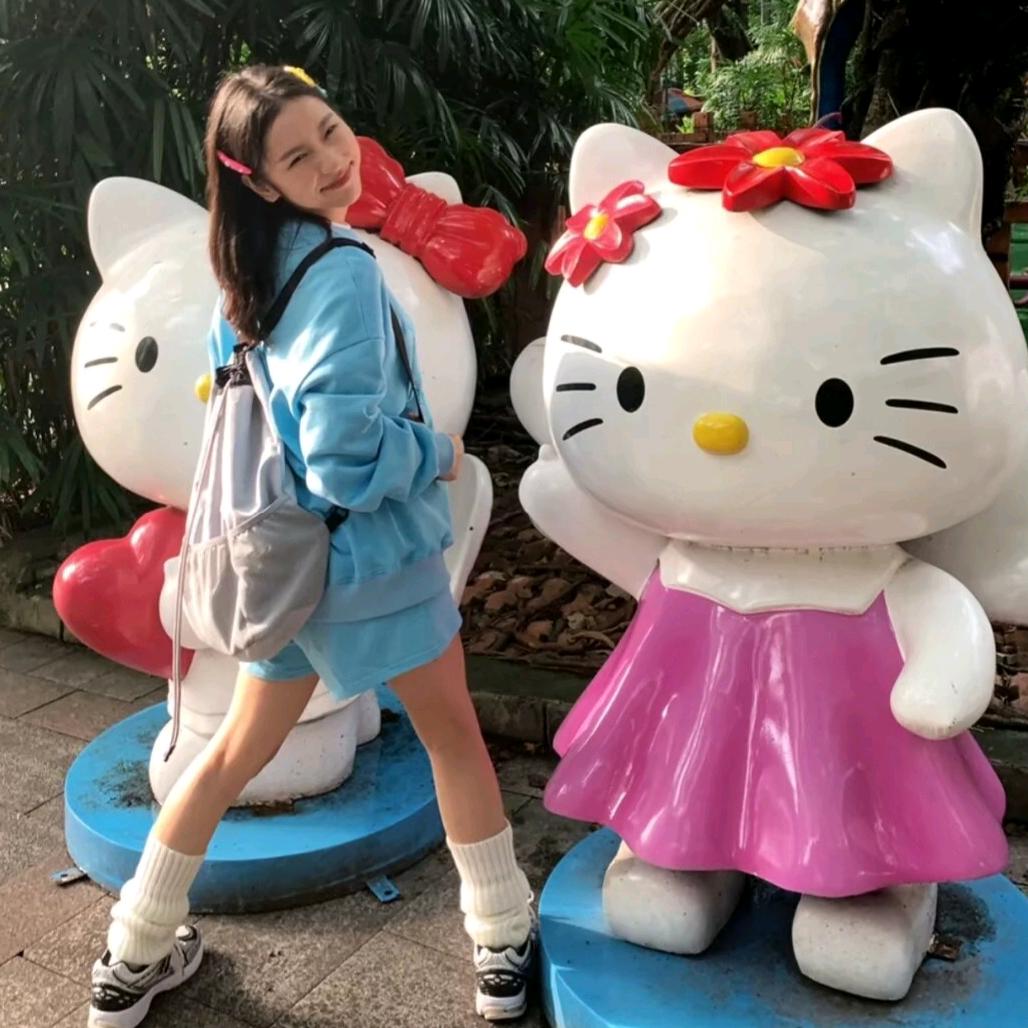 KT 猫