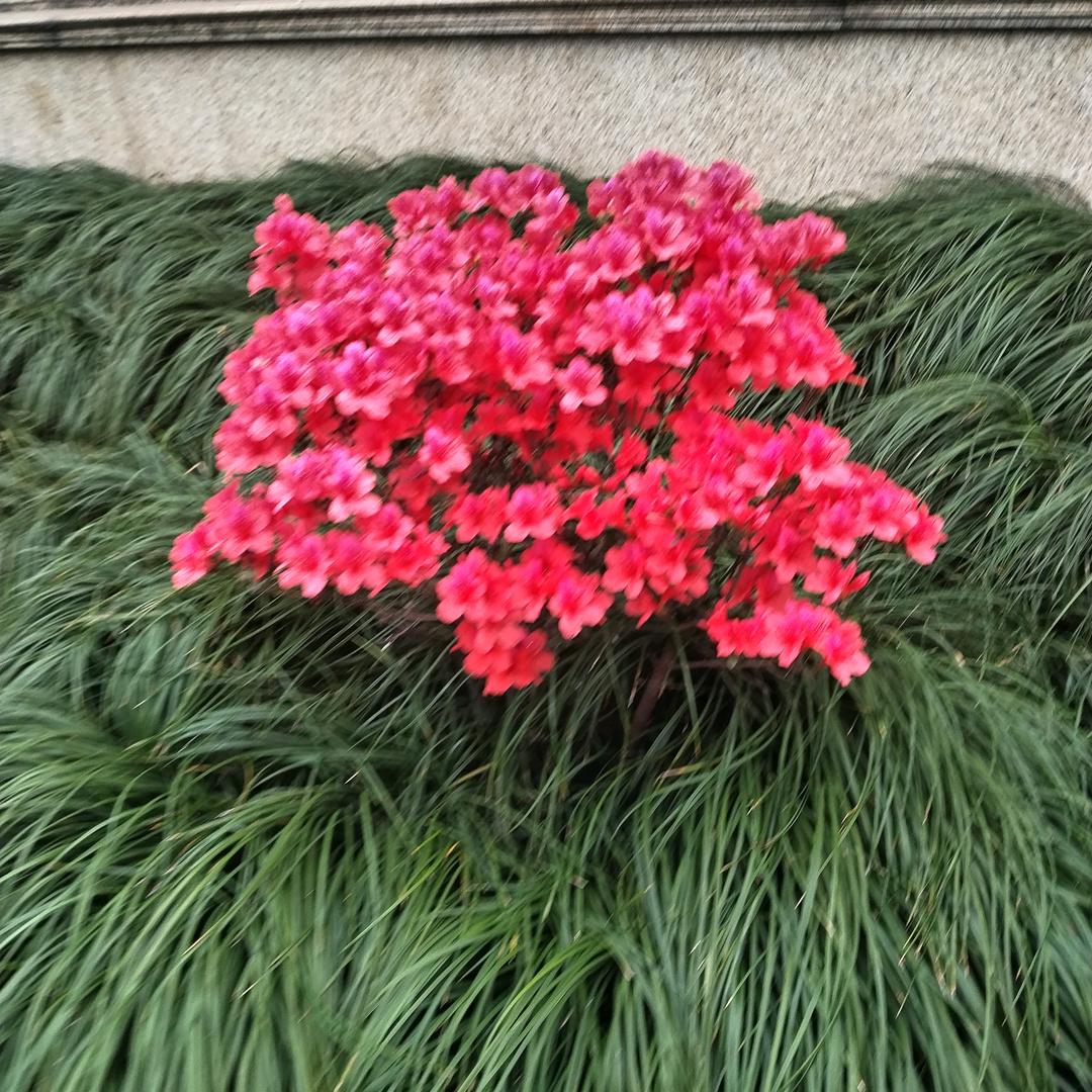 用户3392647437968