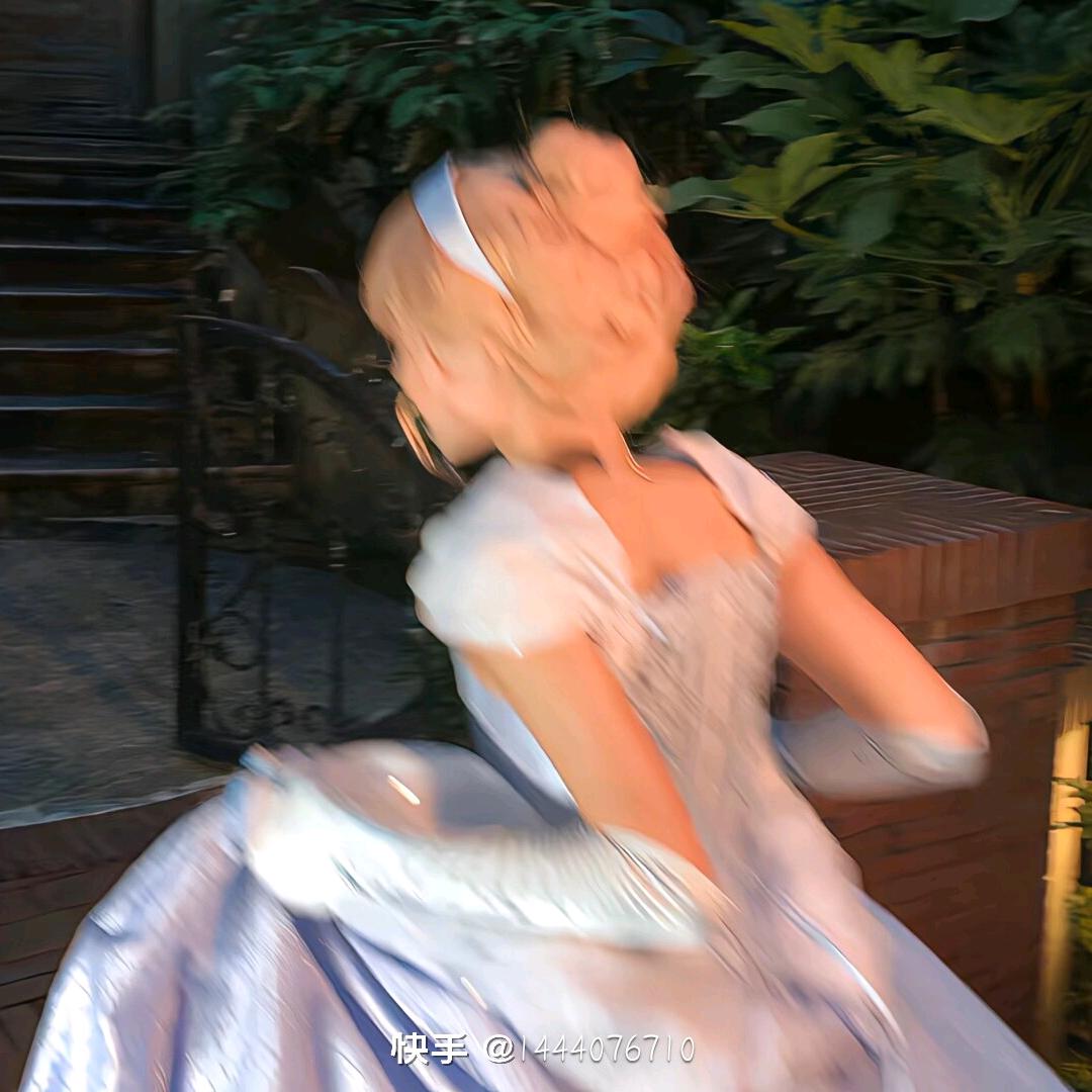 鸽子🕊🔣