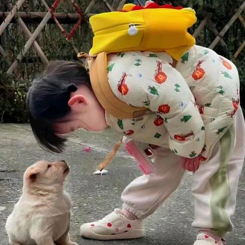 摆烂咸鱼🐟