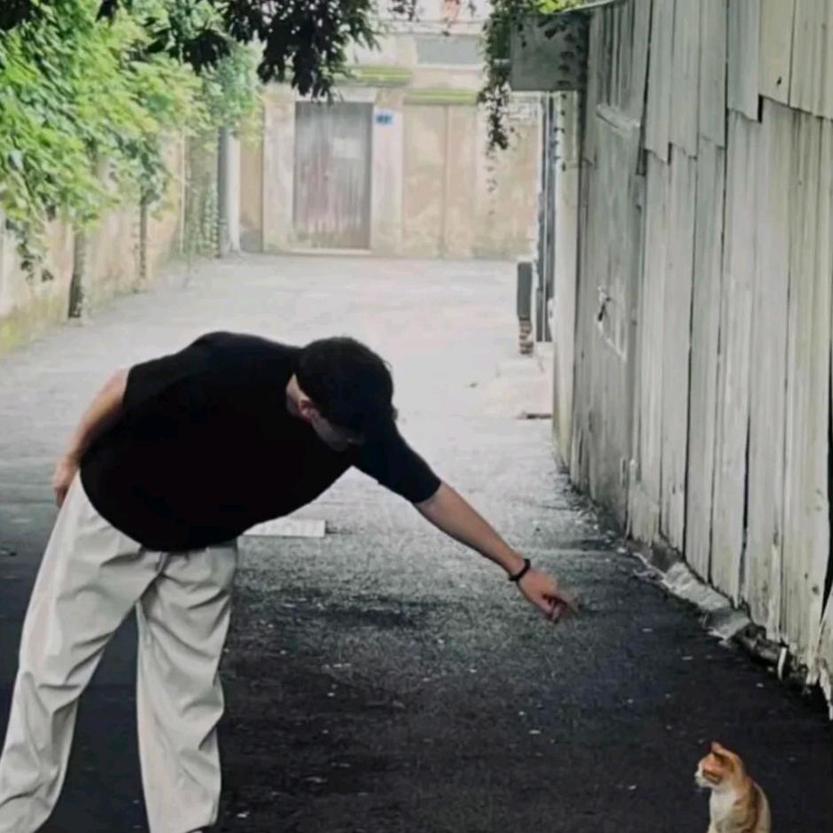 抓只蛤蟆给你吃