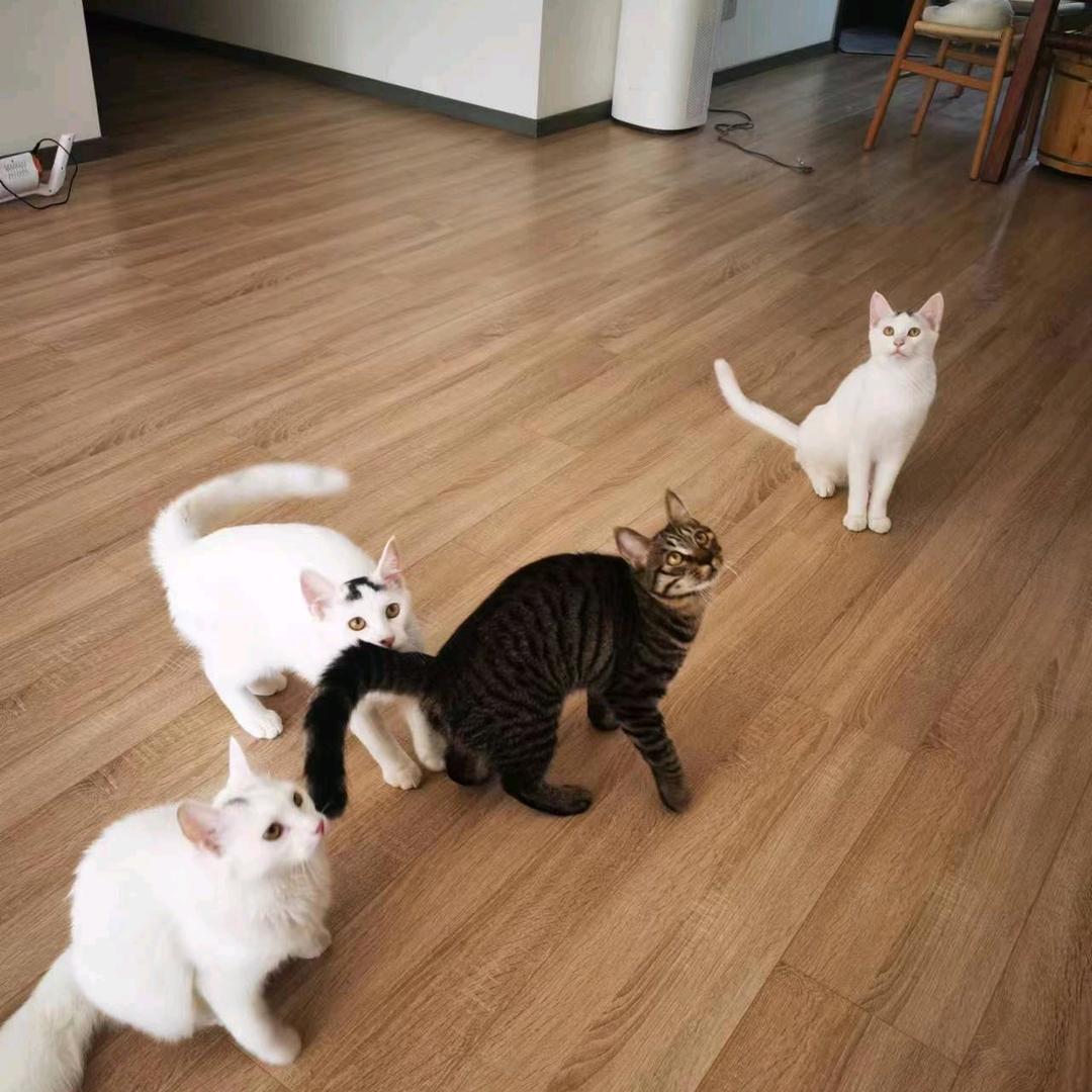 一个保姆