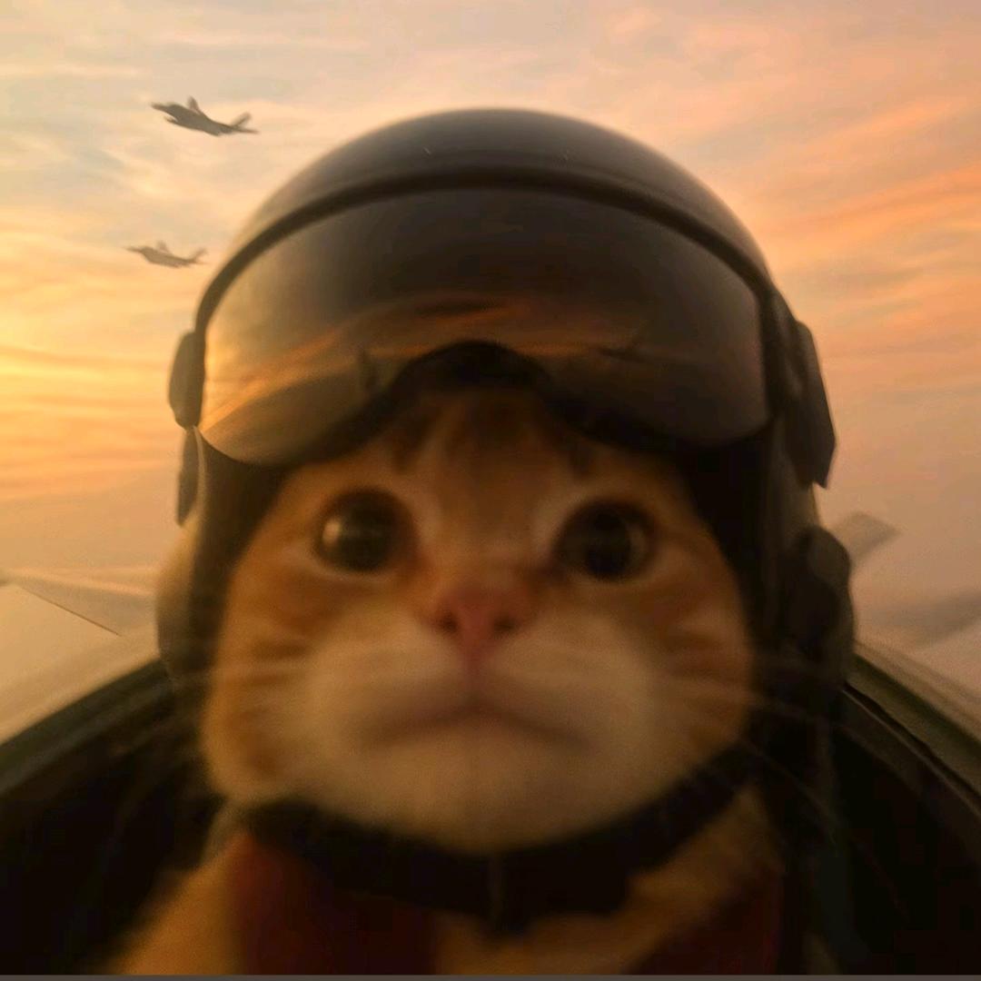 坐稳咯开启暴走状态(˵¯͒〰¯͒˵)