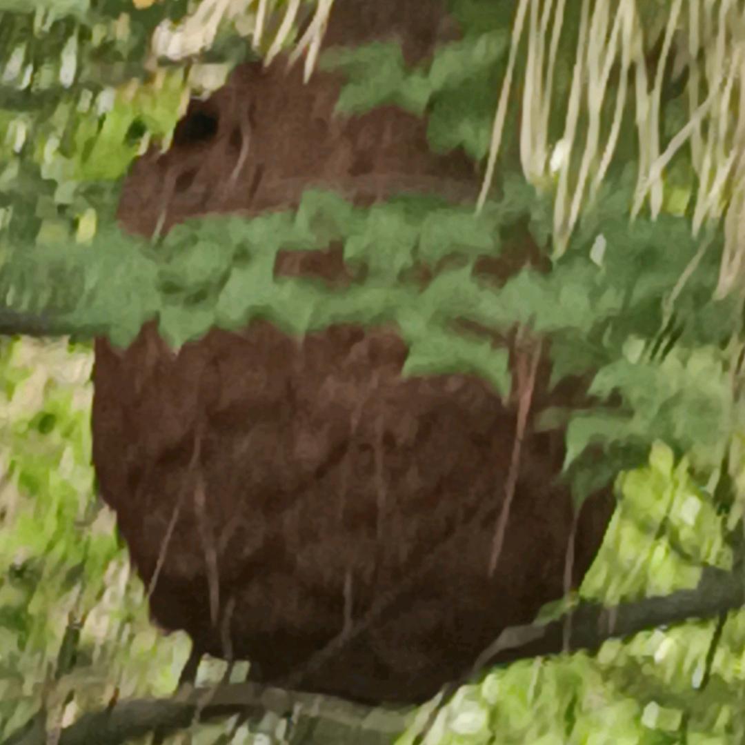 骑摩托车上高速