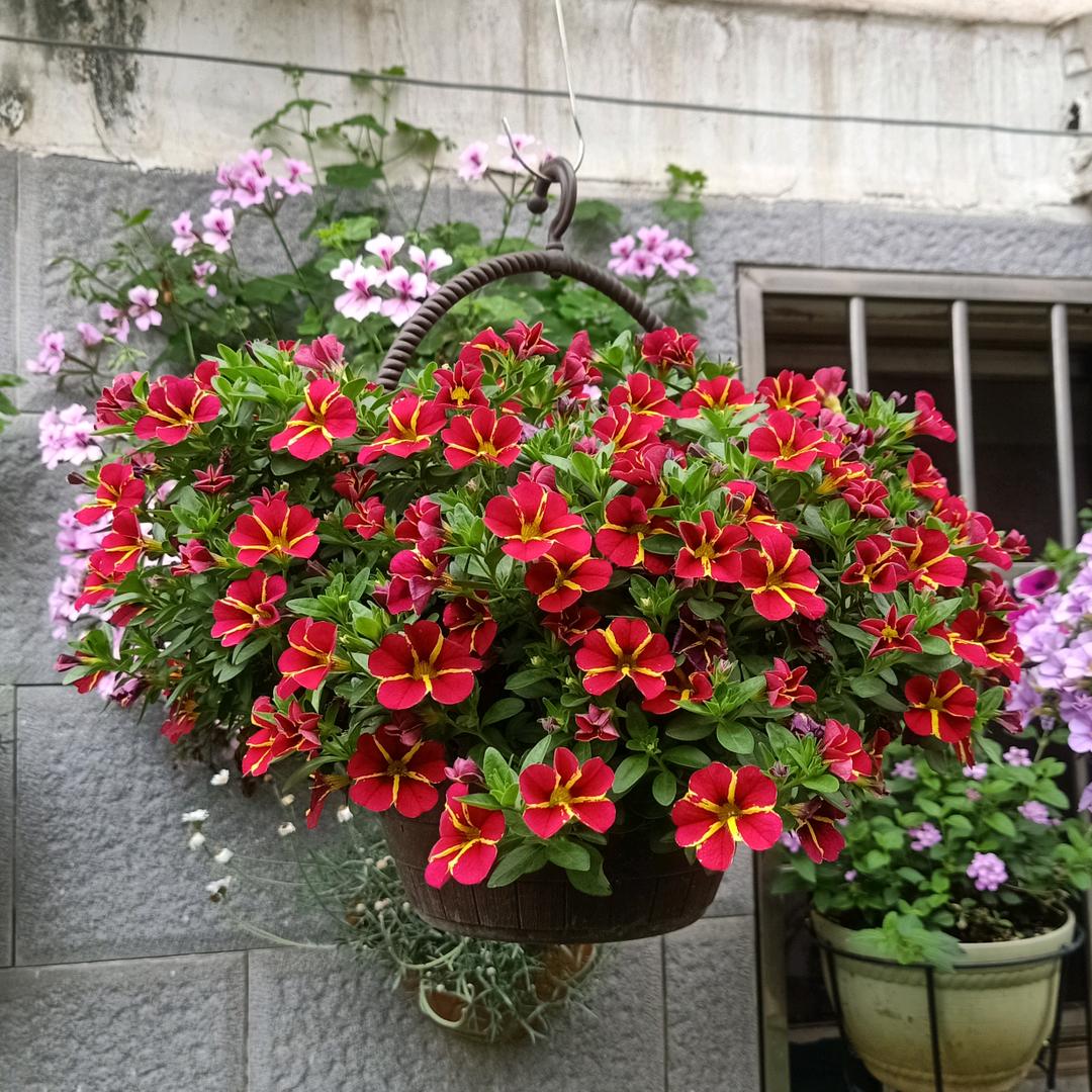 一花:🙏一叶🙏