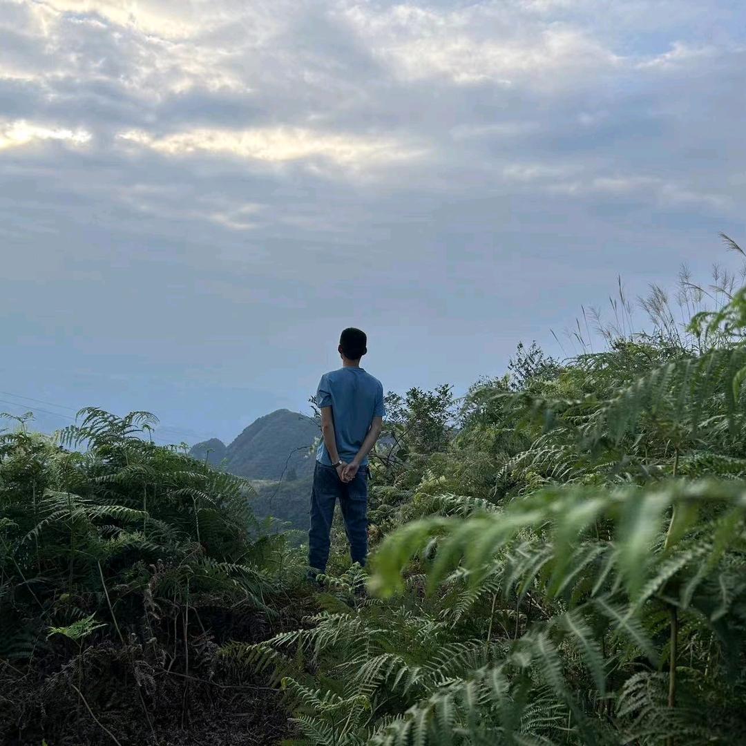 何以解忧？唯有暴富