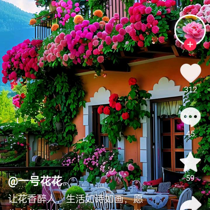 一帆风顺