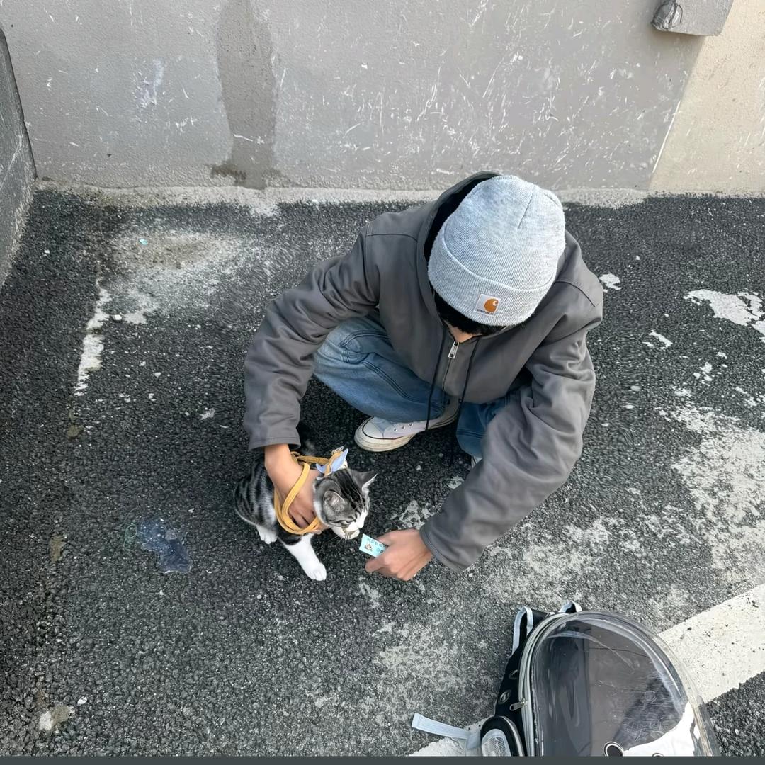 黑白